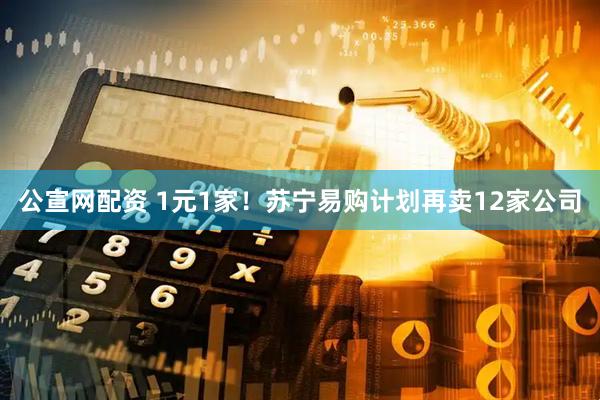 公宣网配资 1元1家！苏宁易购计划再卖12家公司